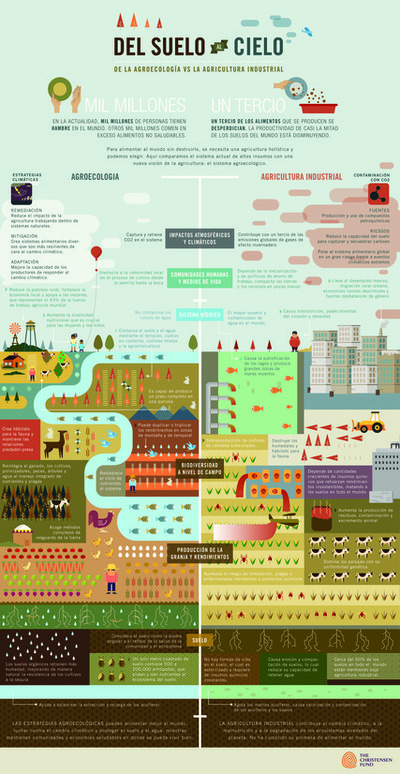 Del suelo al cielo: la agroecología vs la agricultura industrial-image