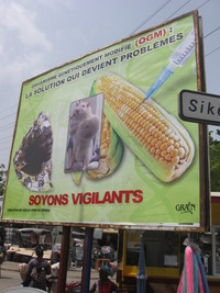 Vigilance au Bénin-image