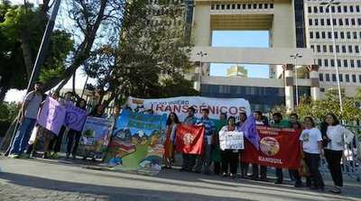 Chile derails ‘Monsanto law’ that would privatise seeds-image