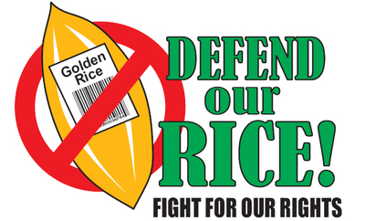 Asian farmers unite to stop Golden Rice -image