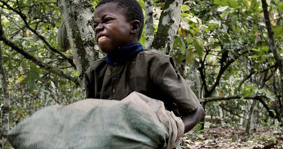 Nestlé, ADM and Cargill can’t escape liability for cocoa child slavery, rules court-image
