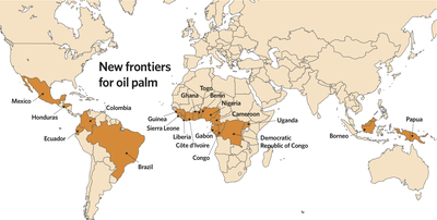 New frontiers for oil palm-image
