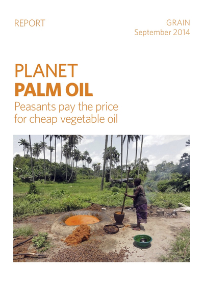 Land grabs for oil palm plantations in Africa and Papua-image