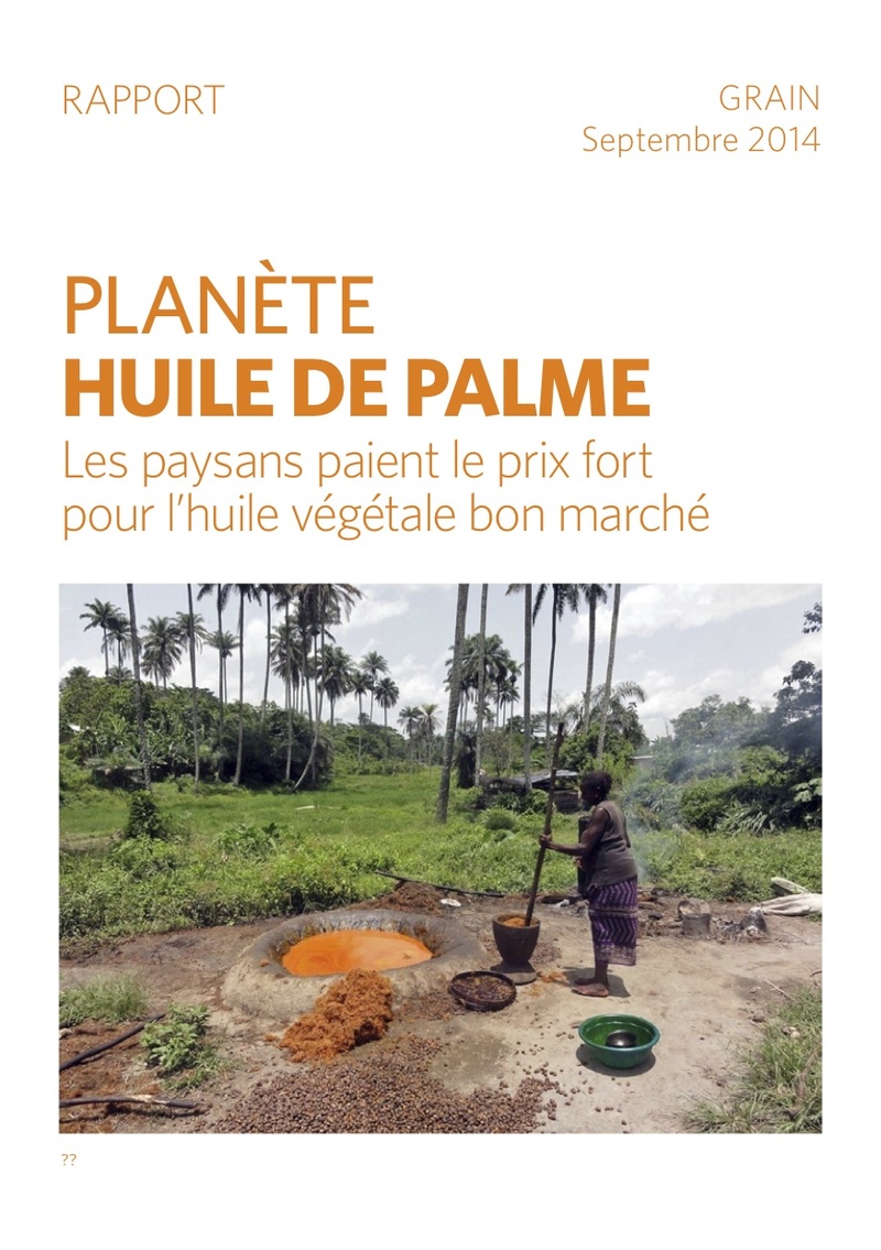 Quel est l'impact de la culture de l'huile de palme sur la biodiversité ? -  UP' Magazine