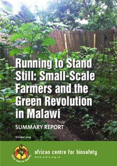 Malawi's Green Revolution-image