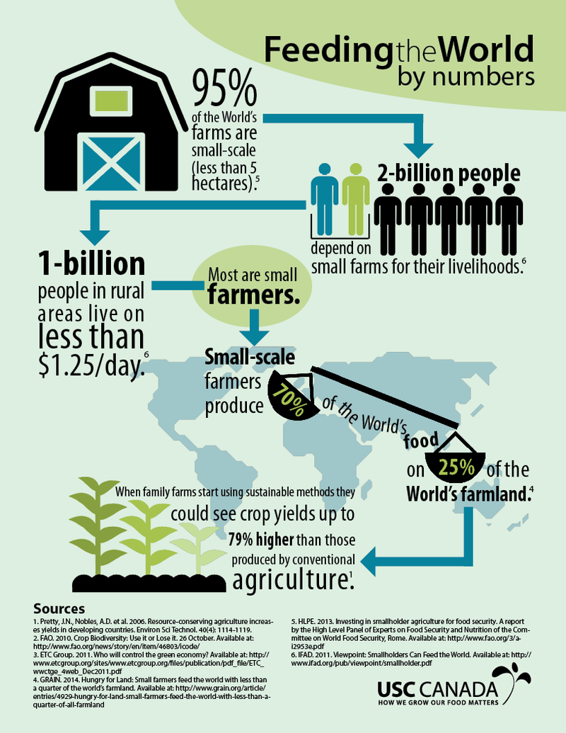 GRAIN | Feeding the world