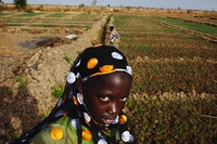  Les belles histoires de l’agriculture familiale -image