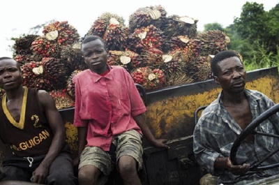 Bailing out a foreign food company in the DR Congo-image