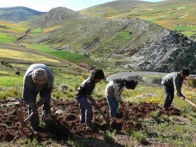 La solución al cambio climático está en nuestras tierras-image