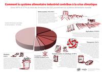 Souveraineté alimentaire : 5 étapes pour refroidir la planète et nourrir sa population-image