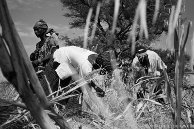 Les accaparements de terres dans le monde. Quelles résistances aujourd’hui ?-image