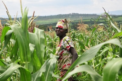 Who controls our food?-image