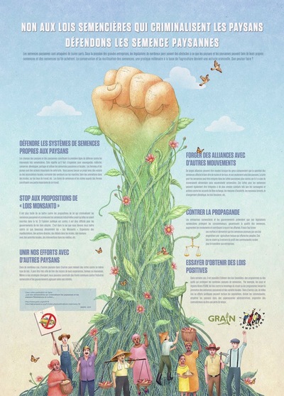 Infographie : Non aux lois semencières qui criminalisent les paysans & défendons les semence paysannes-image