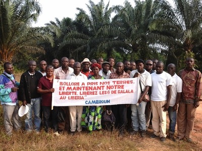 Global resistance to land grabs by Bolloré and Socfin-image