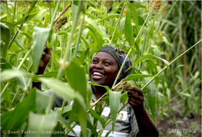 Farmers make more money with ecological farming-image