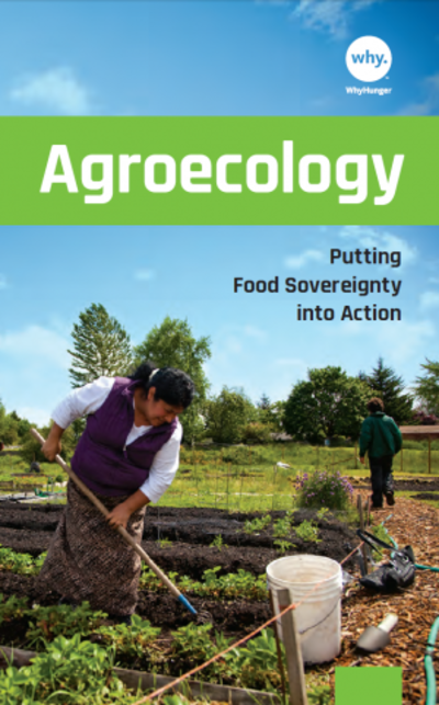 Agroecology: putting food sovereignty into action-image