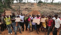 Nigeria palm oil land grab exposes need for human rights treaty-image