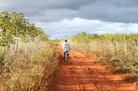 Los acaparadores de tierras en el Corredor de Nacala-image