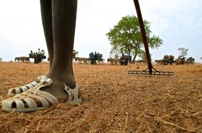 Les enjeux de la COP21 pour l'agriculture en Afrique -image