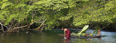  Donde las luchas de comunidades campesinas y del bosque convergen-image