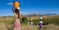 Terres accaparées, terres confisquées, terres menacées-image