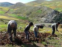 Is industrial farming a tech-fix or dead end for tackling climate change?-image