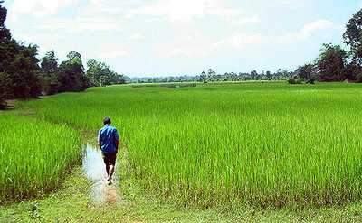 In the wake of "El Niño massacre", Green Revolution a failure, Filipino farmers still hungry-image