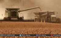 China maps out GMO crops industry development plan-image