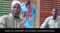 La fibre de la discorde : le coton OGM au Burkina Faso (vidéo)-image
