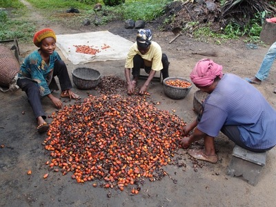 Les femmes ouest africaines défendent l'huile de palme traditionnelle-image