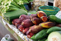Thailand: Food safety advocacy group Thai-Pan takes government to court -image