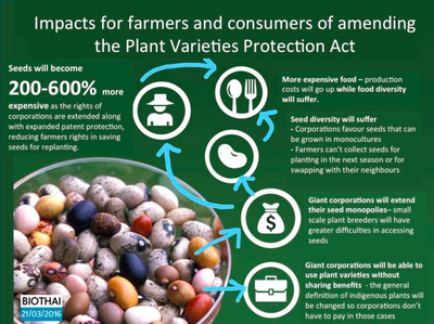 Impacts for farmers and consumers of amending the Plant Varieties Protection Act-image