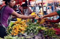 Global food system absent from Paris Agreement-image