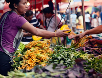 Le système alimentaire mondial : le grand absent de l’Accord de Paris -image