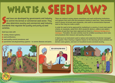 Towards seed sovereignty: new easy to read seed law training posters for CSOs-image