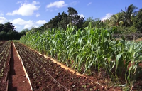 Cours regional Afrique Francophone sur l'agroécologie-image