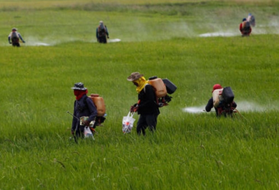 Agro-écologie : La Copagen veut un retour aux bonnes sources-image