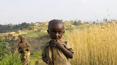 No, giant farms are not feeding the world. They’re feeding Canada.-image