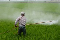 Open letter to Mr. Han Chang-fu: Stop export of Paraquat produced by Syngenta and others in China!-image