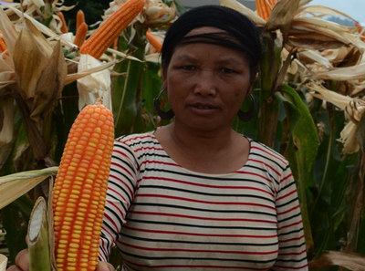 A high price: mounting debt means tragedy for tens of thousands of farmers in Vietnam-image