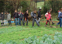 Feeding public policies: local public policies for food sovereignty, 16-17 November-image