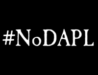 Global call on banks to halt loan to Dakota Access Pipeline-image