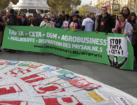 CETA, la porte ouverte aux OGM-image