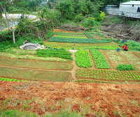 Carlos Vicente: “La agricultura campesina puede reducir a la mitad el calentamiento global”-image