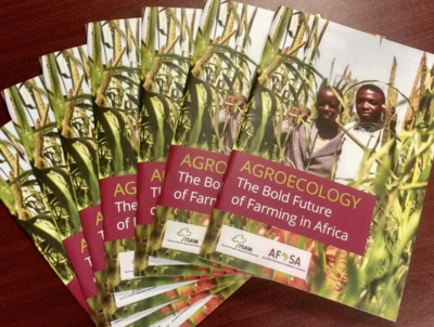 Agroecology: the bold future of farming in Africa-image