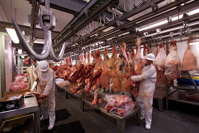 La viande et le marché. La viande industrielle est imposée partout.-image