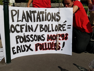 Pressure on at Bolloré's 2017 annual general meeting-image