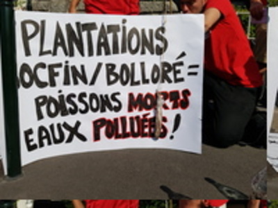 Les actionnaires du groupe Bolloré accueillis avec des poissons pourris-image