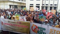 Farmers protest against the commercialisation of golden rice in Bangladesh -image