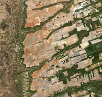 Caravana internacional investigará impactos de grilagem de terras e violações de direitos humanos na região do Matopiba-image